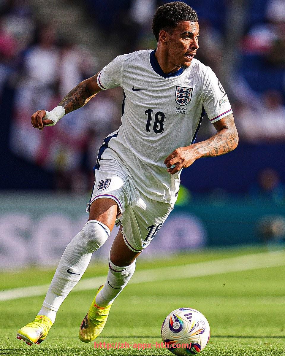 华体会hth官方网站下载-德甲球队阵容最新排名及体育竞技实力对比