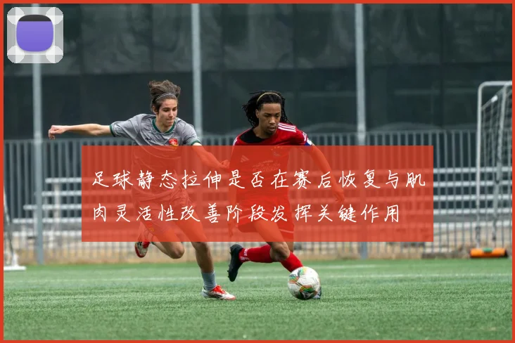 足球静态拉伸是否在赛后恢复与肌肉灵活性改善阶段发挥关键作用